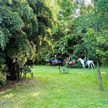 Villa La Dogana - B&B With A Lovely Garden - Private Parking - Slow Living In An Old-Fashioned Historical Home-3